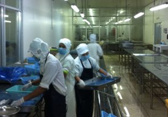 水産加工工場で働いている人たち